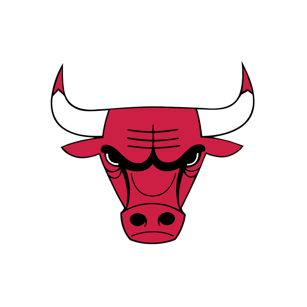 Chicago Bulls logo