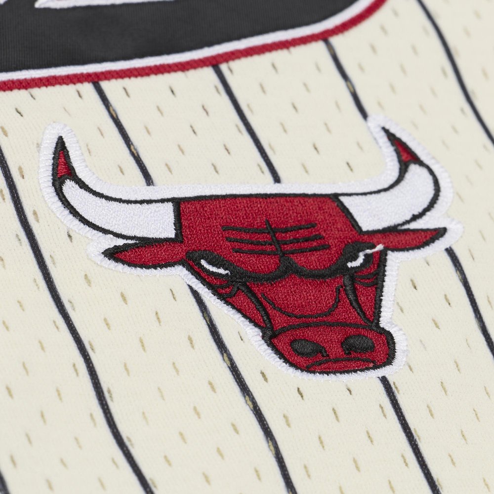 Maillot Dennis Rodman Chicago Bulls Replica - Cream
