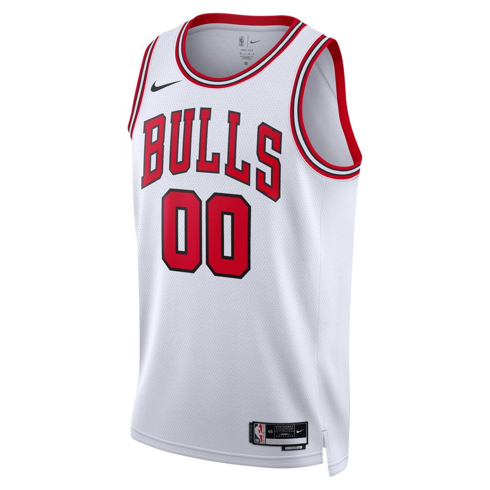 Maillot Chicago Bulls Swingman Association Edition - Association Edition